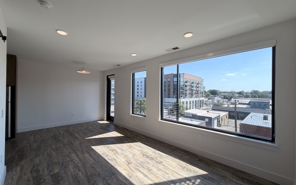 one bedroom living room with natural light in Richmond VA